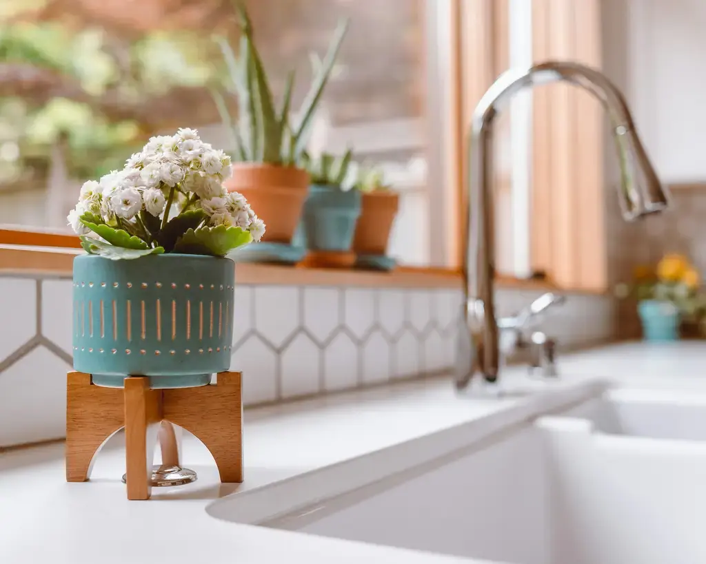 耐熱香草的天堂：認識台灣香料植物