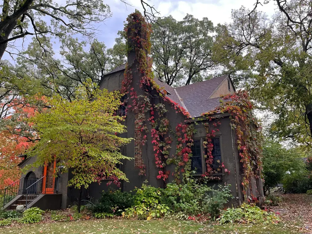 沁涼入心，消暑綻香：台灣薄荷香草的魅力
